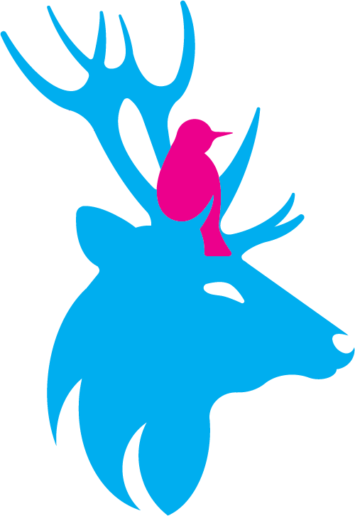 THE WILD — AI marketing experience